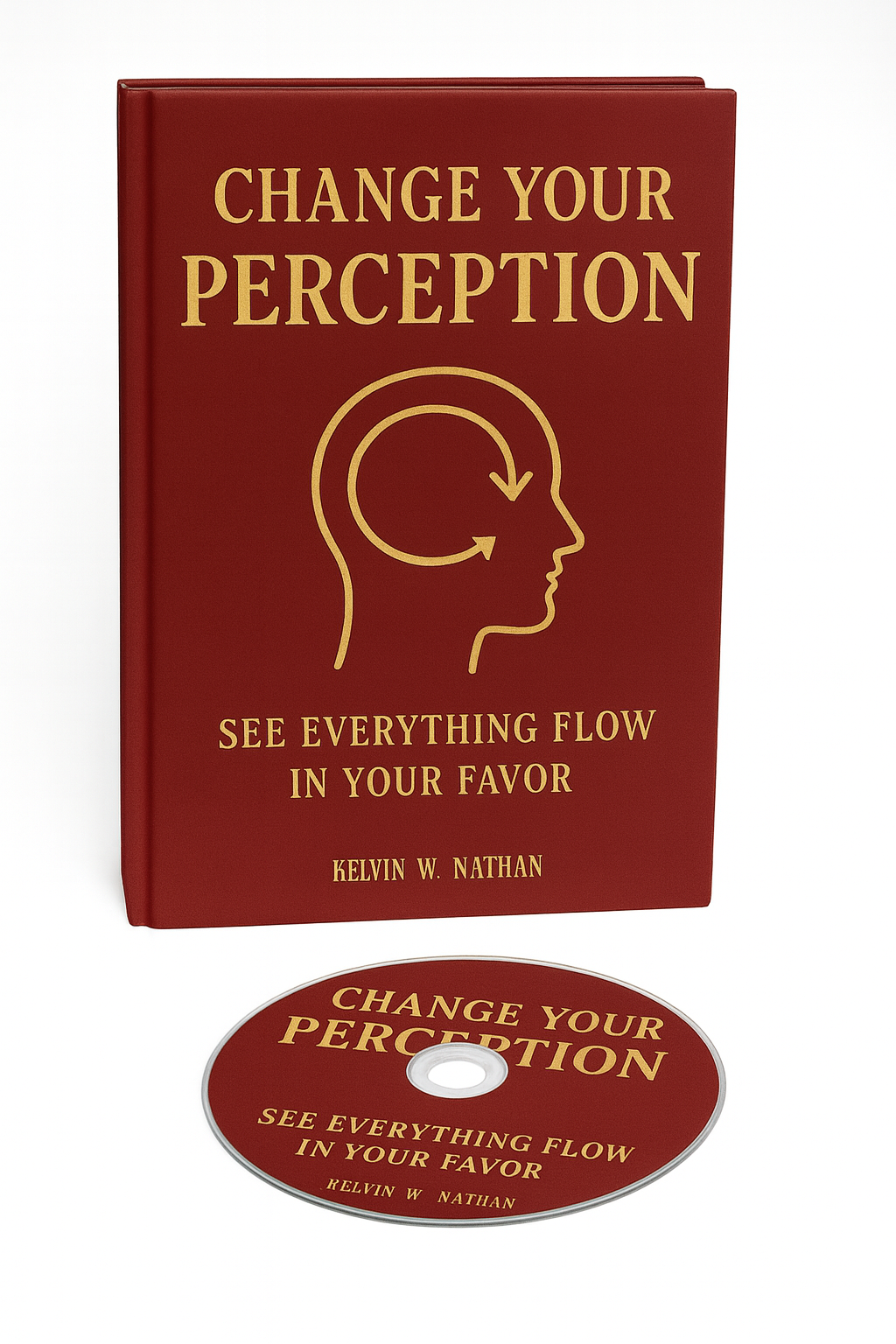 Change Your Perception: See Everything Flow In Your Favor (Audiobook)