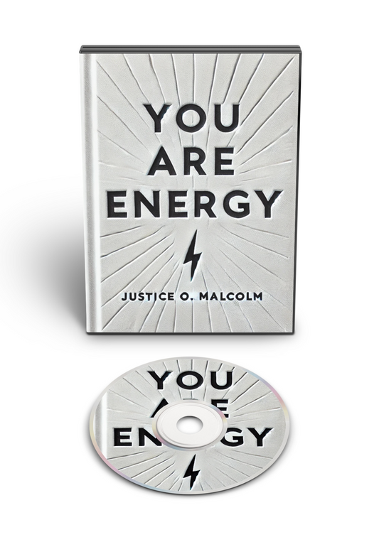 You Are Energy: Money Is Energy, Make It Flow (Audiobook)