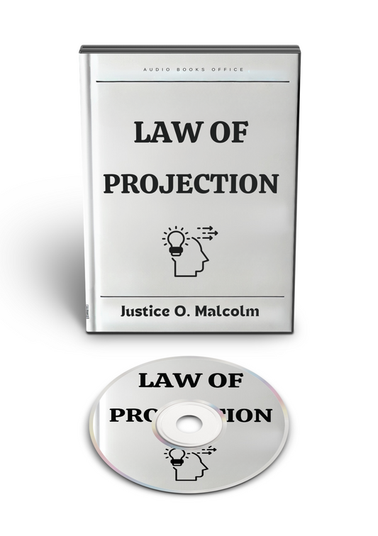 Law of Projection: How What You See Becomes Your Reality (Audiobook)