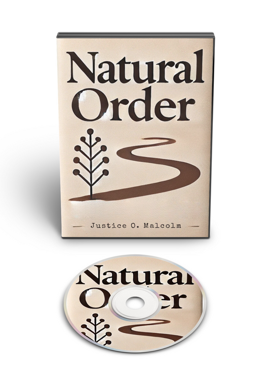 Natural Order: Let The Universe Open and Supply You Success (Audiobook)